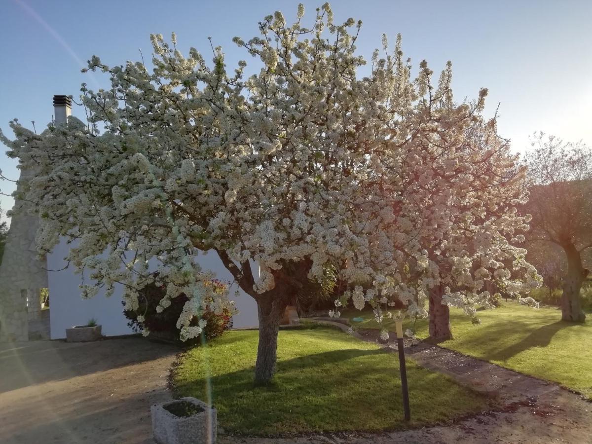 B&B Badde Cubas Usini Zewnętrze zdjęcie